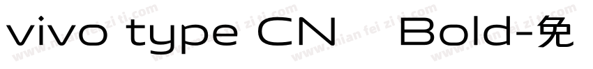 vivo type CN简 Bold字体转换